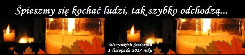 1.11.2016