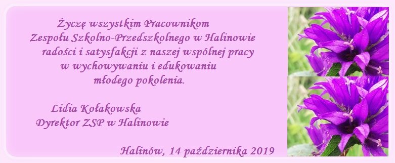 dn2019