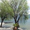 Ohrid