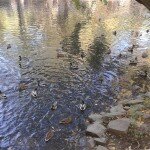 20151007_103109