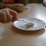 image (1)