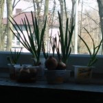 20160317_112954