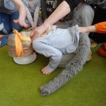 DSC05803