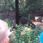 20160616_100327