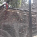 20160616_100435