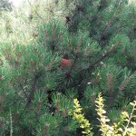 20160616_111458