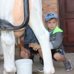 IMG_2978