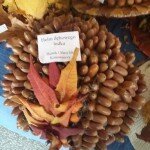 20171026_113318