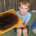 IMG_20180530_101820877