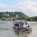 IMG_3113