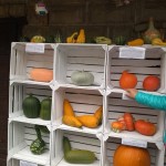 IMG_20180927_095651393