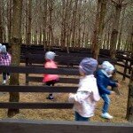 IMG_20180927_105754454
