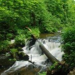 DSC_8367 (2)