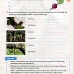 biol_68s
