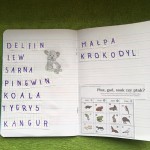 image3 (Copy)