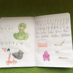 image4 (Copy)