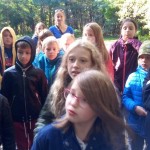 3e i 3f